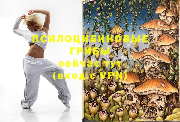 герыч Верея